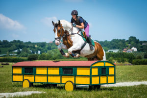 professional equestrian jump